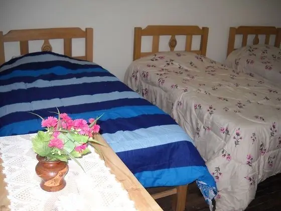 Ortak Ranzalı Oda, Sadece kadınlar için, Ortak Banyo (5 beds)