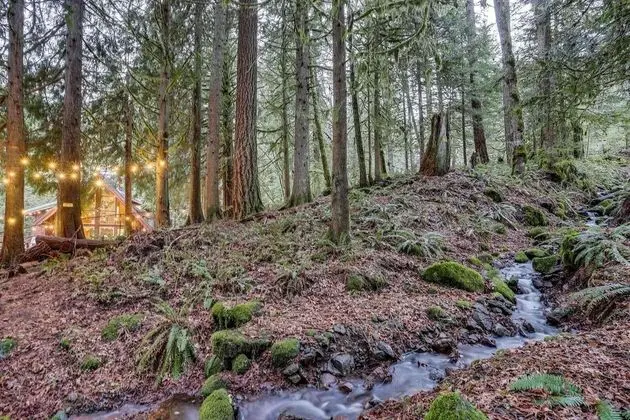 Kulübe, Birden Çok Yatak (Huckleberry Mountain Lodge)