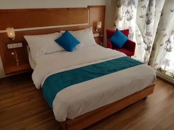 Deluxe Tek Büyük Yataklı Oda, Balkon, Şehir Manzaralı