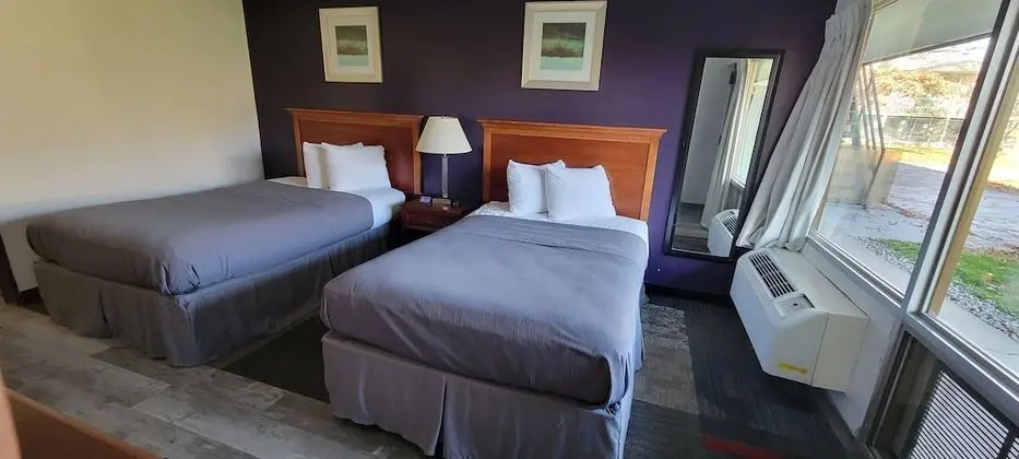 Deluxe Oda, 2 Çift Kişilik Yatak, Sigara İçilmez