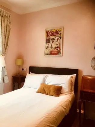 Standard Tek Büyük Yataklı Oda, 1 Çift Kişilik Yatak