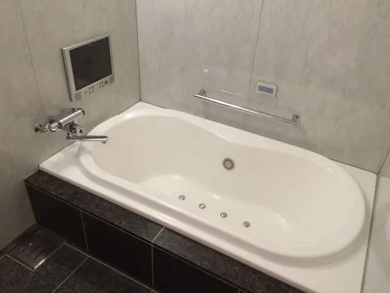 Standard Tek Büyük Yataklı Oda, Sigara İçilebilir (Love Hotel)