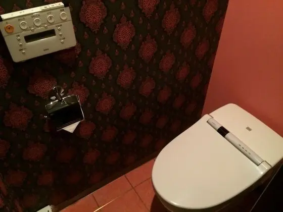 Standard Tek Büyük Yataklı Oda, Sigara İçilebilir (Love Hotel)
