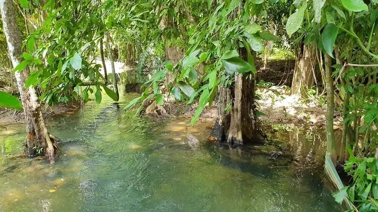 Junior Süit, Kanal Manzaralı
