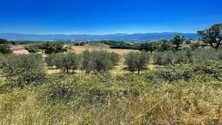 Apart Daire, 3 Yatak Odası, Veranda