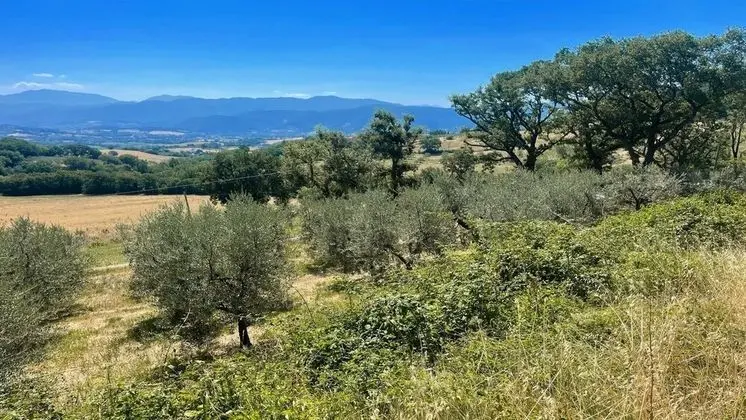 Apart Daire, 3 Yatak Odası, Veranda