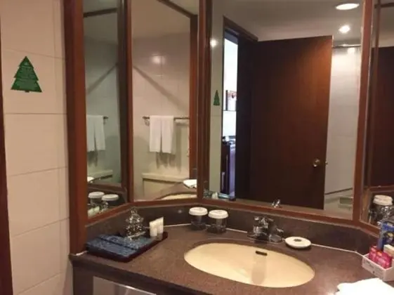 Executive Tek Büyük veya İki Ayrı Yataklı Oda, Şehir Manzaralı