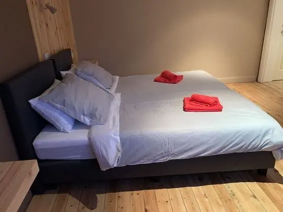 Basic Tek Büyük Yataklı Oda, 1 Yatak Odası, Sigara İçilmez, Özel Banyo (201)