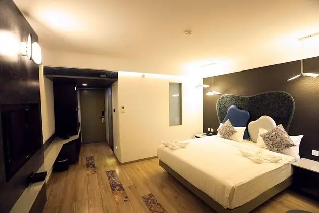 Premium Tek Büyük Yataklı Oda, 1 Çift Kişilik Yatak
