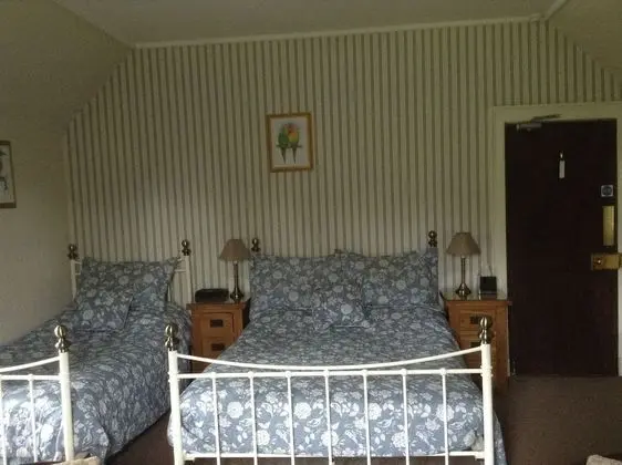 Standard Tek Büyük veya İki Ayrı Yataklı Oda, Bahçe Manzaralı