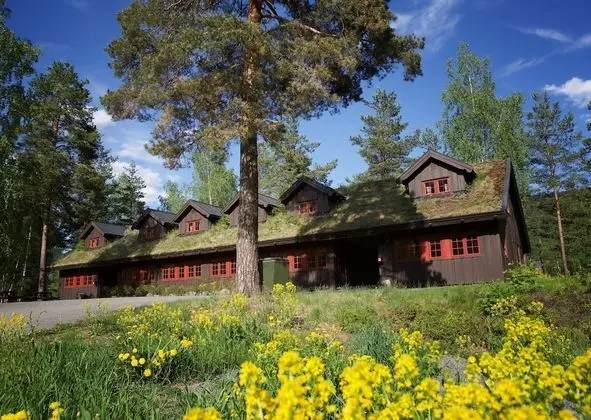 Family Apart Daire (Midtgarden)