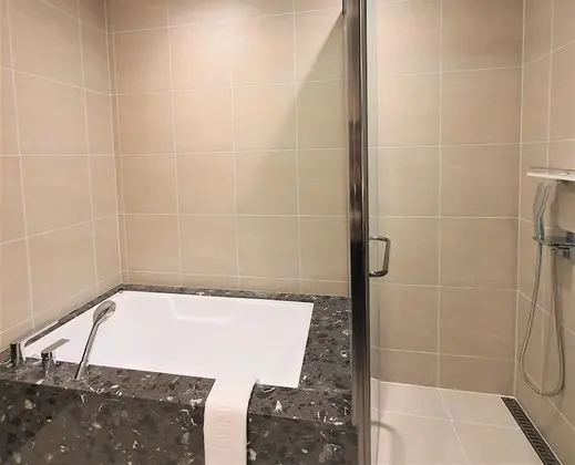 [Room Only] Deluxe Suite B type