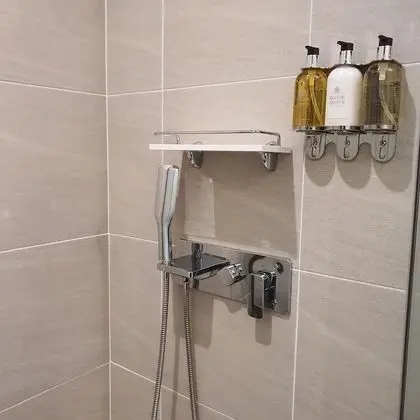 [Room Only] Deluxe Suite B type