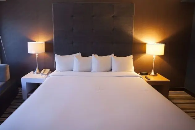 King Premier Room, 1  king bed