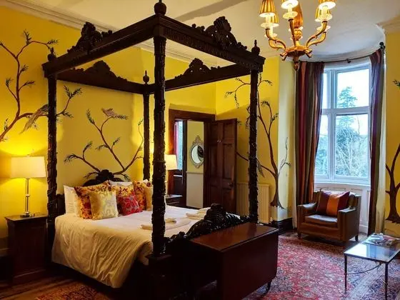 Tek Büyük Yataklı Oda, Banyolu/Duşlu (Junior Suite)