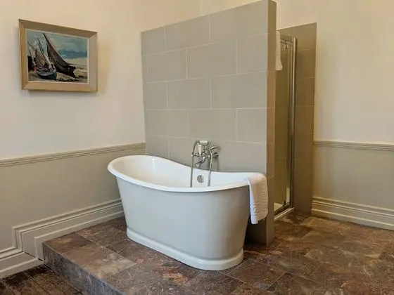 Tek Büyük Yataklı Oda, Banyolu/Duşlu (Junior Suite)