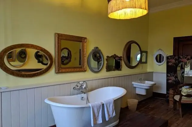 Tek Büyük Yataklı Oda, Banyolu/Duşlu (Junior Suite)