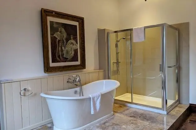 Tek Büyük Yataklı Oda, Banyolu/Duşlu (Junior Suite)