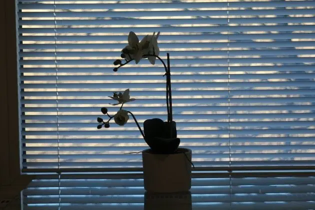 Traditional Stüdyo, 2 Tek Kişilik Yatak