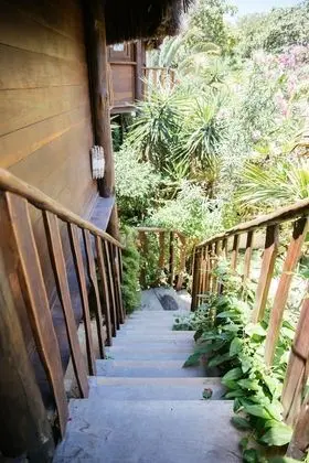 Bungalov, Havuz Manzaralı