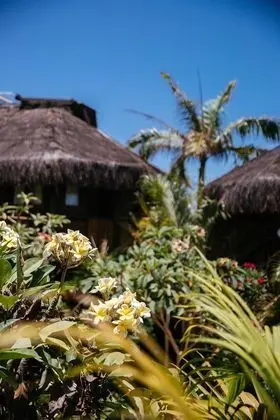 Bungalov, Havuz Manzaralı