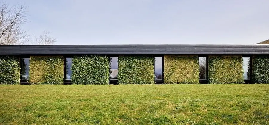 Basic Tek Büyük Yataklı Oda