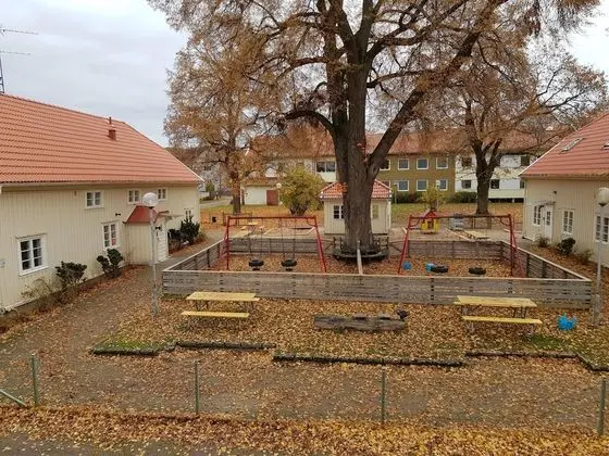 Basic Tek Kişilik Oda (Hotel, Shared Shower)