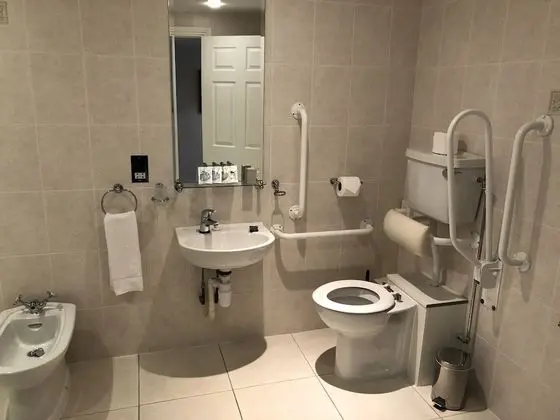 Tek Büyük Yataklı Oda, Banyolu/Duşlu (Disability)