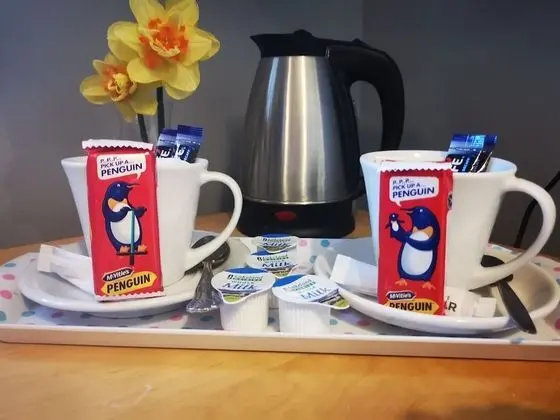 Tek Büyük Yataklı Oda (Hibernia)