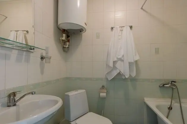 Superior Tek Büyük Yataklı Oda, 1 En Büyük (King) Boy Yatak ve Çekyat