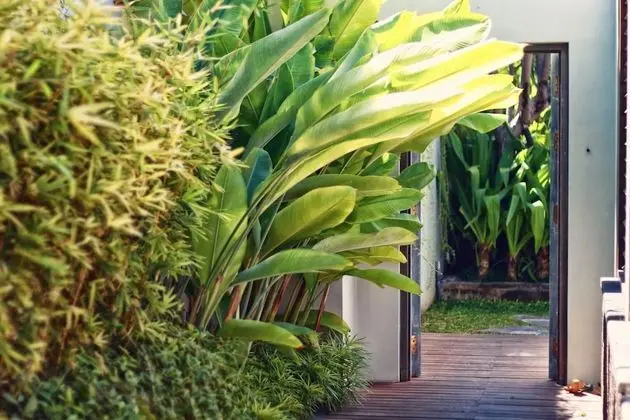 Çatı Katı Süiti (Penthouse), 3 Yatak Odası, Kişiye Özel Havuzlu
