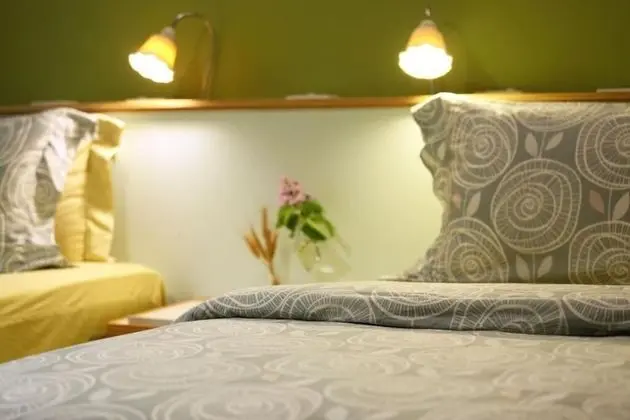 Tek Büyük Yataklı Oda (Four Seasons)