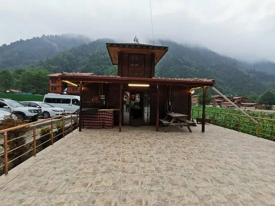 Suite, Multiple Beds, Park View