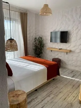 Standart Oda, Bahçe Manzaralı, Fransız Balkonlu