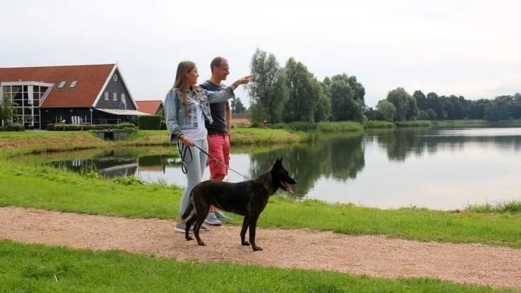 Apart Daire, Engellilere Uygun