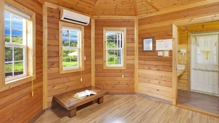 Basic Oda, 1 Yatak Odası (Yellow-1)