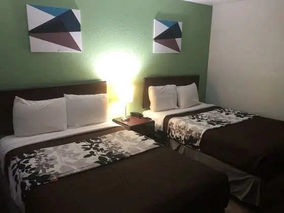 Traditional Tek Büyük Yataklı Oda, Sigara İçilmez