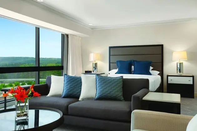 Süit, 1 En Büyük (King) Boy Yatak (Hyatt)