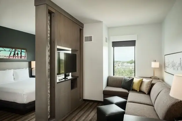 Süit, 1 Yatak Odası (1 King and 1 Sofa Bed)