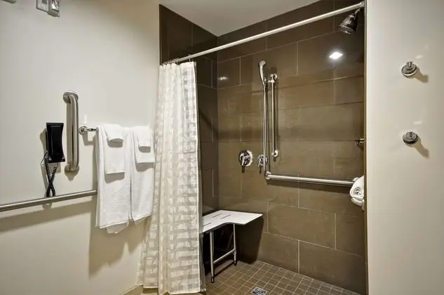 Oda, 1 En Büyük (King) Boy Yatak, Engellilere Uygun, Sigara İçilmez (with Shower)