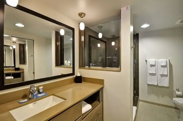 Süit, 1 En Büyük (King) Boy Yatak, Engellilere Uygun (with Roll-In Shower, Sofa bed)