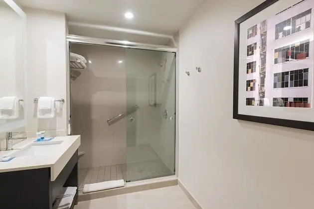 Stüdyo Süit, 1 En Büyük (King) Boy Yatak ve Çekyat, Engellilere Uygun, Mutfak (Roll-in Shower)