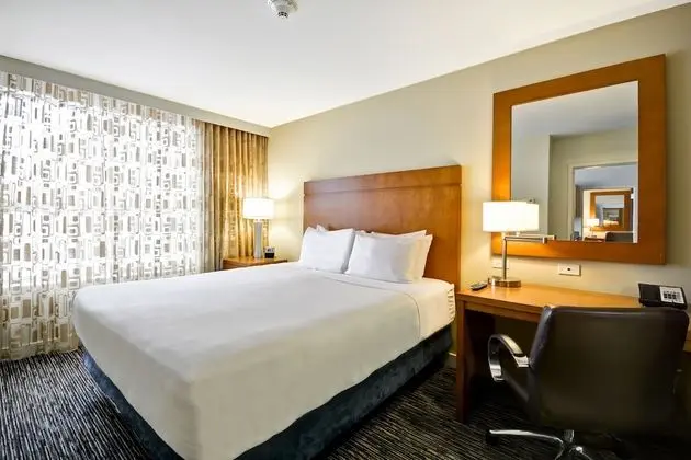 Süit, 1 Yatak Odası (1 Grand King Bed and 1 Sofa Bed)