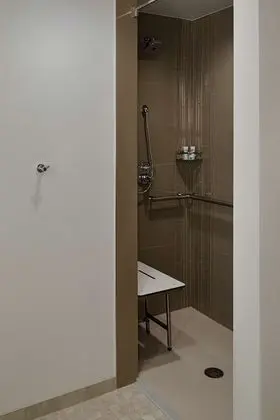 Oda, 1 En Büyük (King) Boy Yatak, Engellilere Uygun (Roll-In Shower)