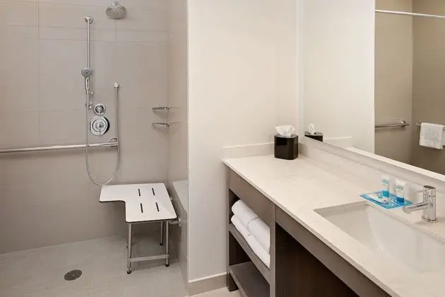 Süit, 1 Yatak Odası, Engellilere Uygun (Shower)