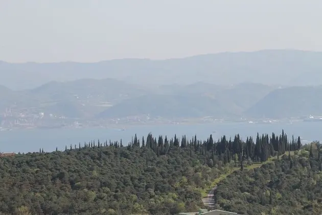 Süit, 1 Yatak Odası, Küçük Mutfak, Deniz Manzaralı (1 King and 1 Sofabed)