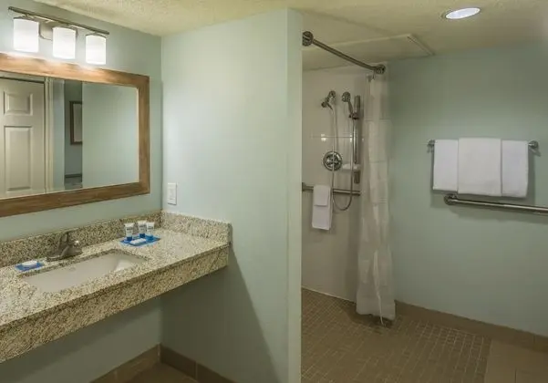 Stüdyo Süit, 1 En Büyük (King) Boy Yatak, Engellilere Uygun (Shower)