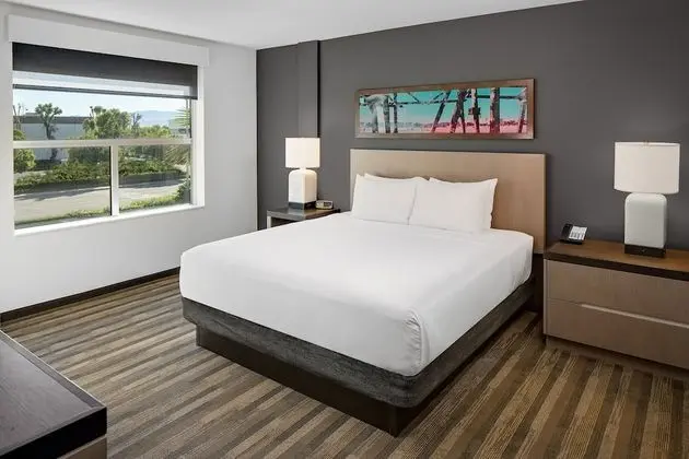 Studio Suite, 1 King Bed with Sofa Bed, Kitchen