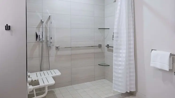 Stüdyo Süit, 1 En Büyük (King) Boy Yatak ve Çekyat, Engellilere Uygun (With Shower)