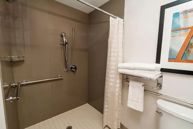 Süit, 1 Yatak Odası, Engellilere Uygun (Shower)